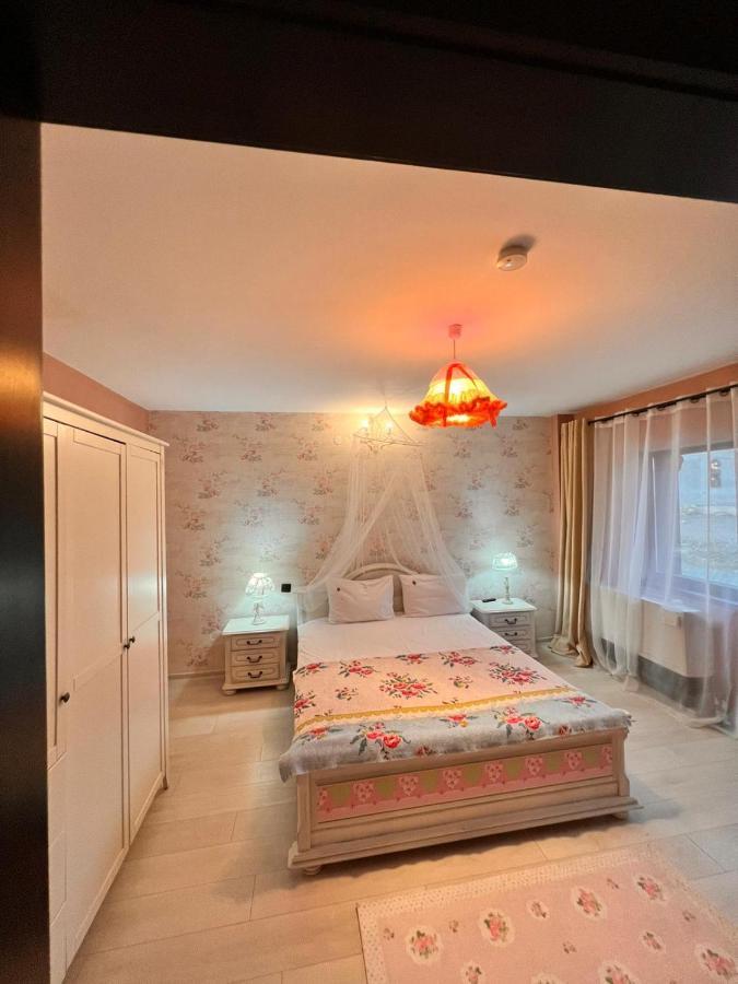 Vila Alsace Podu' Cu Lanturi Bacau Ngoại thất bức ảnh